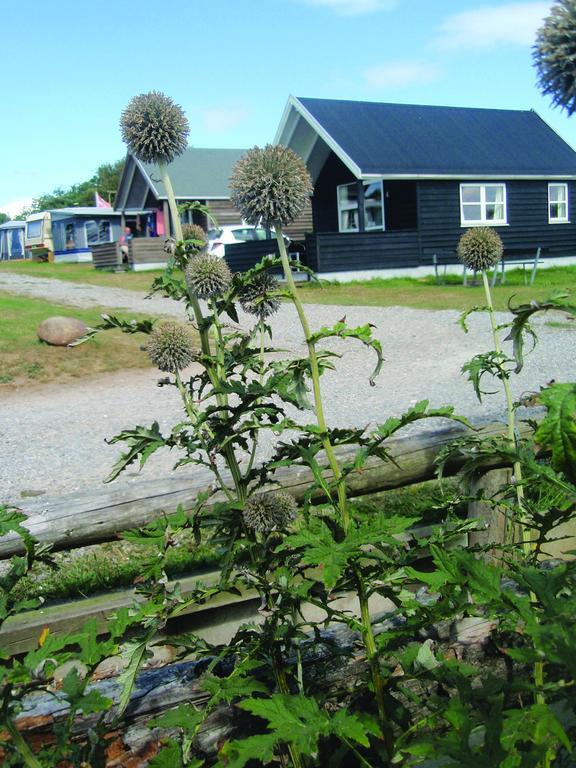 Toftum Bjerge Camping & Cottages Humlum Zimmer foto